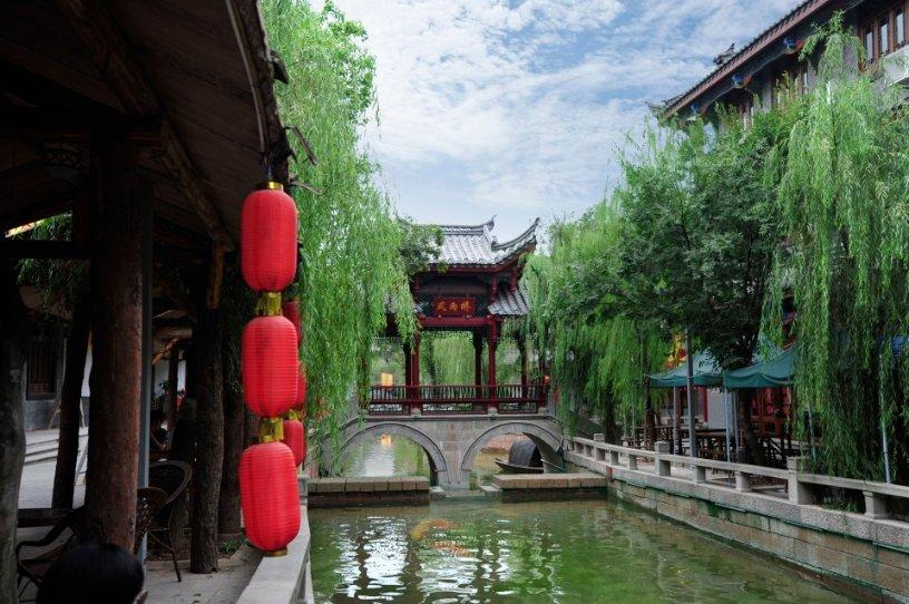 天鹅森林逃脱